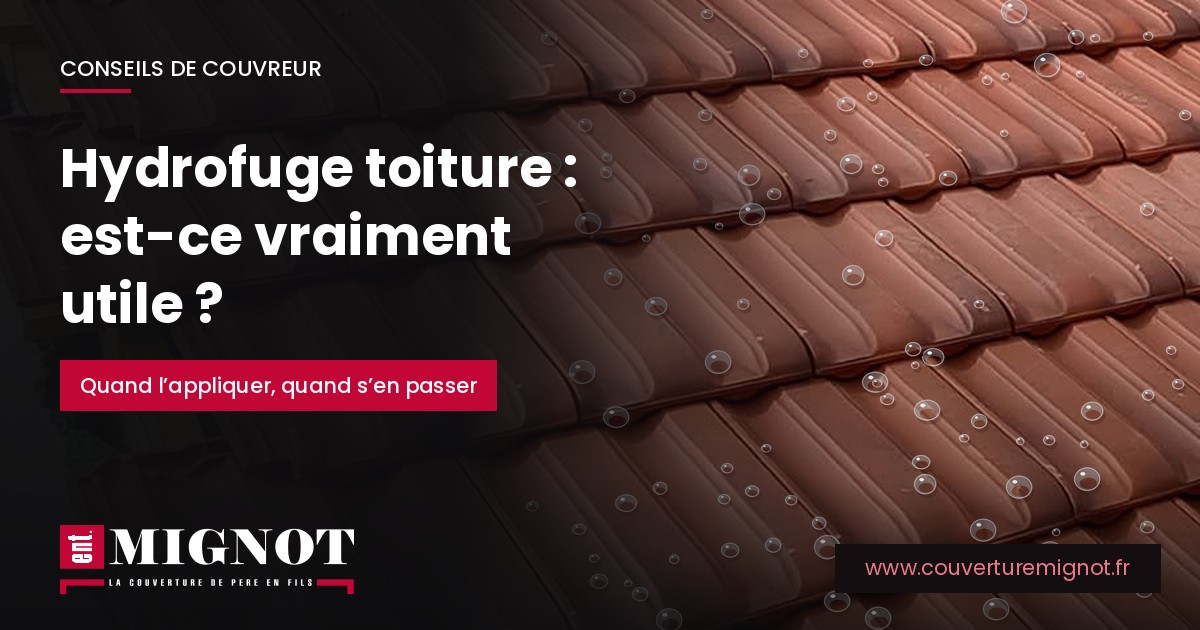 Gouttes d'eau perlant sur des tuiles en terre cuite, pour illustrer l'effet d'un traitement hydrofuge de toiture